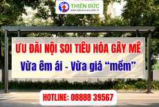 NỘI SOI TIÊU HÓA KHÔNG ĐAU TẠI THIÊN ĐỨC CÓ GÌ ĐẶC BIỆT?