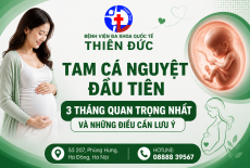 TAM CÁ NGUYỆT ĐẦU TIÊN: 3 THÁNG QUAN TRỌNG NHẤT VÀ NHỮNG ĐIỀU CẦN LƯU Ý