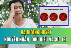 HẠ ĐƯỜNG HUYẾT: DẤU HIỆU, NGUYÊN NHÂN VÀ CÁCH XỬ TRÍ KHẨN CẤP