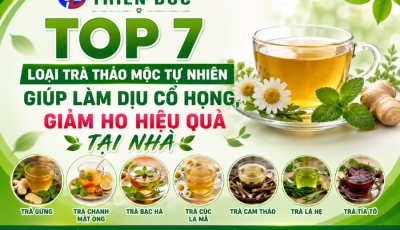 TOP 7 LOẠI TRÀ THẢO MỘC TỰ NHIÊN GIÚP LÀM DỊU CỔ HỌNG, GIẢM HO HIỆU QUẢ TẠI NHÀ