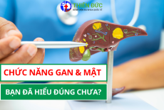 CHỨC NĂNG GAN, MẬT: BẠN ĐÃ HIỂU ĐÚNG CHƯA?