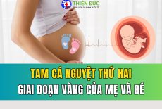 TAM CÁ NGUYỆT THỨ HAI: GIAI ĐOẠN VÀNG CỦA MẸ BẦU VÀ THAI NHI