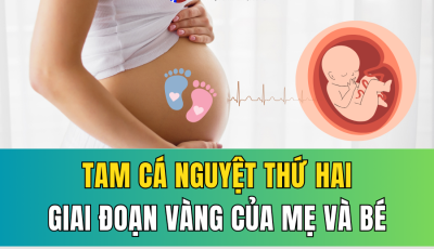 TAM CÁ NGUYỆT THỨ HAI: GIAI ĐOẠN VÀNG CỦA MẸ BẦU VÀ THAI NHI