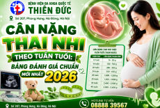 CÂN NẶNG THAI NHI THEO TUẦN TUỔI: BẢNG ĐÁNH GIÁ CHUẨN MỚI NHẤT 2026