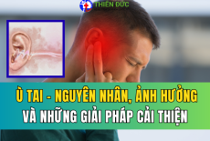 Ù TAI: NGUYÊN NHÂN, ẢNH HƯỞNG VÀ NHỮNG PHƯƠNG PHÁP CẢI THIỆN