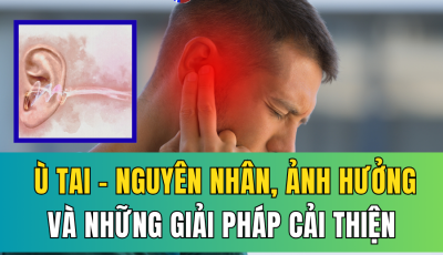 Ù TAI: NGUYÊN NHÂN, ẢNH HƯỞNG VÀ NHỮNG PHƯƠNG PHÁP CẢI THIỆN