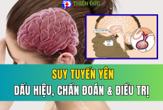 SUY TUYẾN YÊN: DẤU HIỆU NHẬN BIẾT, CHẨN ĐOÁN VÀ PHƯƠNG PHÁP ĐIỀU TRỊ