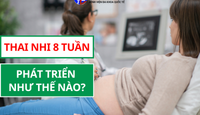 THAI NHI 8 TUẦN PHÁT TRIỂN NHƯ THẾ NÀO?